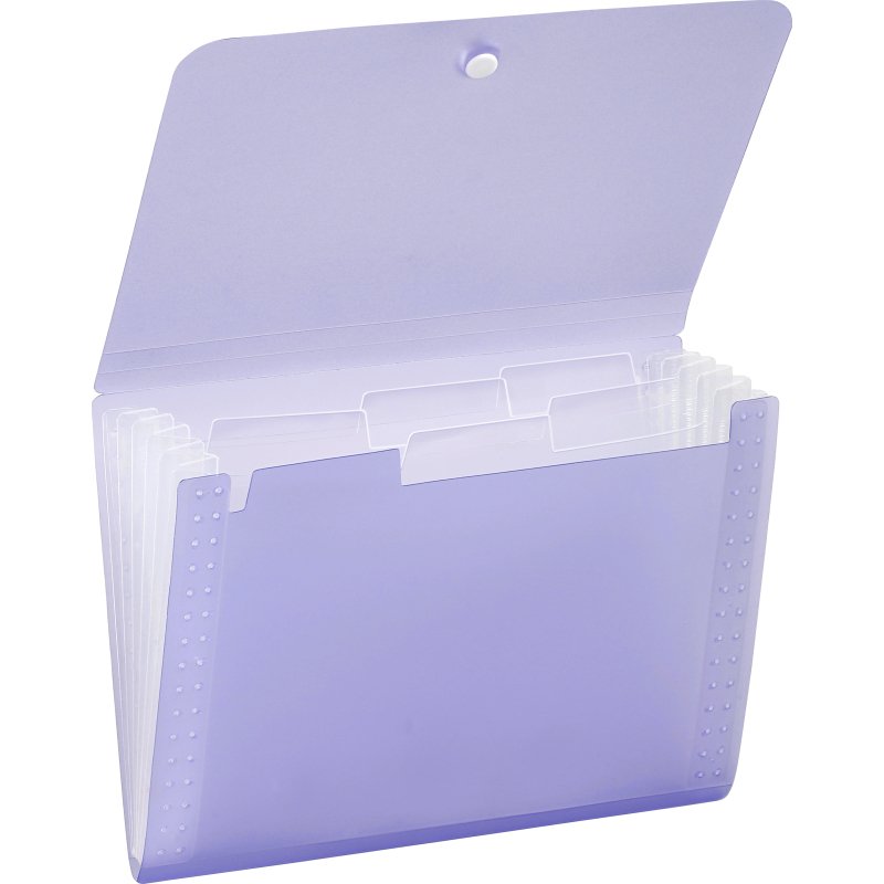 Trieur plastique extensible Propysoft Viquel 6 compartiments - Format A5 paysage
