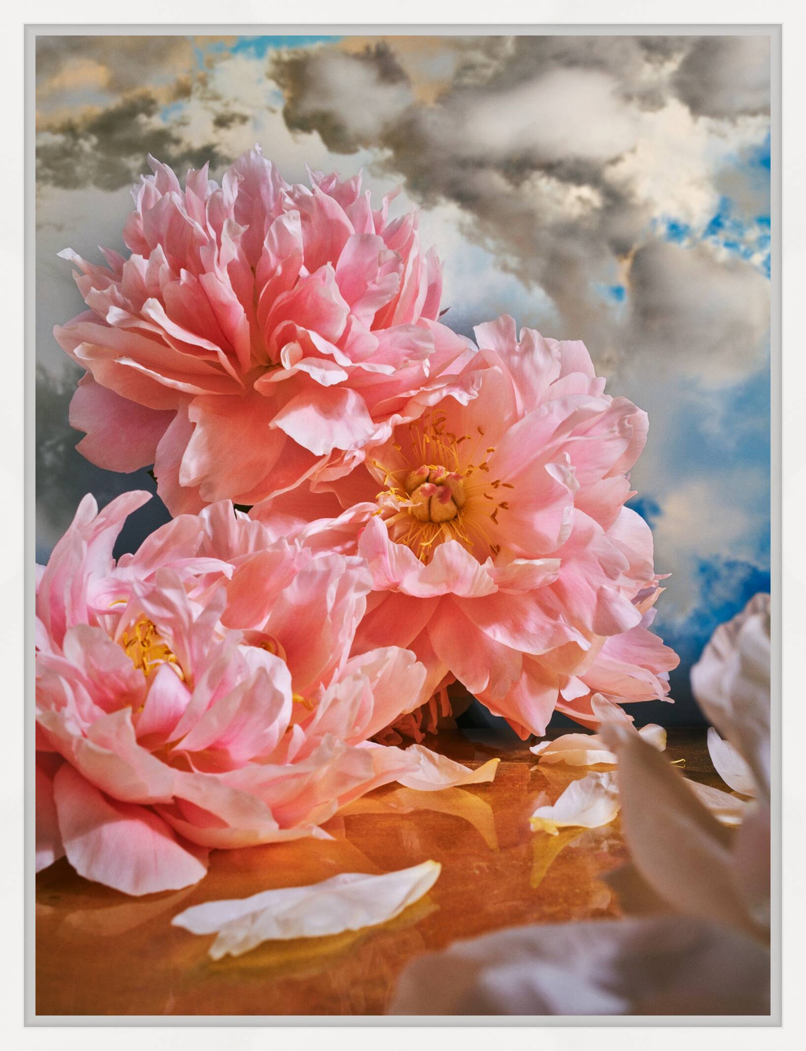 EXUBERANCE by Heiko Hellwig - Limited Edition. Edition of: 150. Signed.