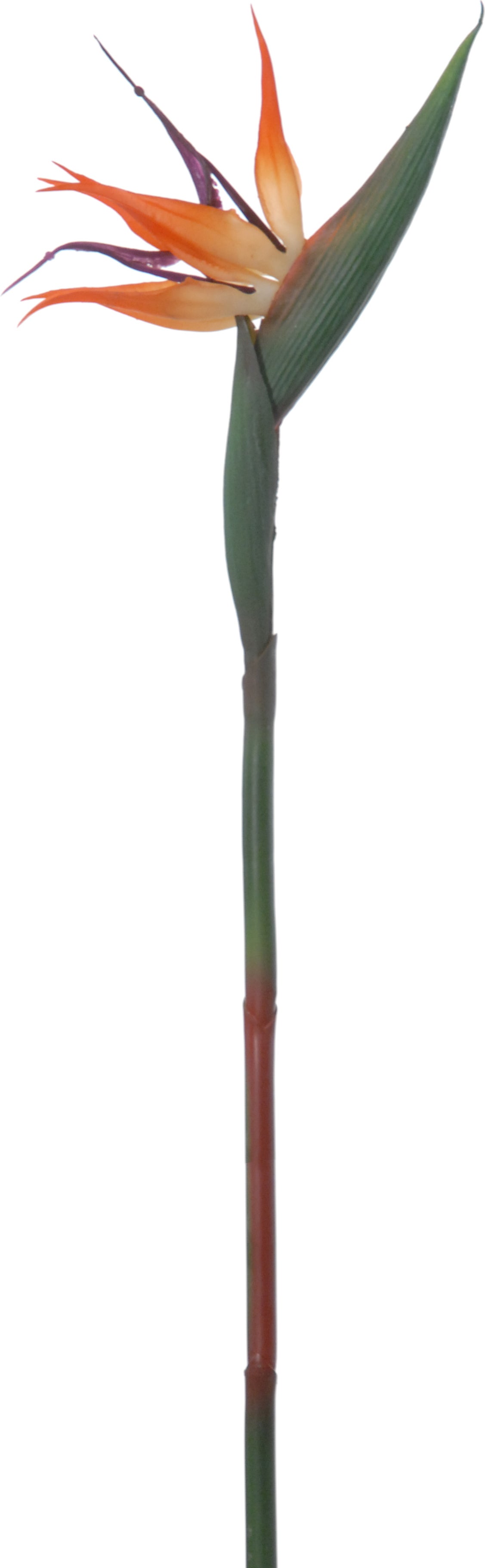 Louis Maes kunstbloem Strelitzia oranje 58 cm