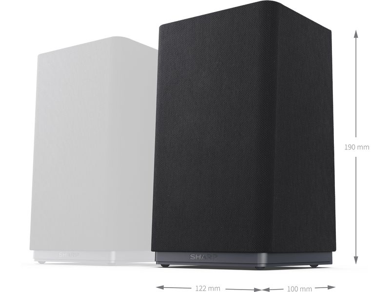 Sharp Home Cinema Speaker Set CPAWS2001 Schwarz Rückwärtige Surround-Lautsprecher