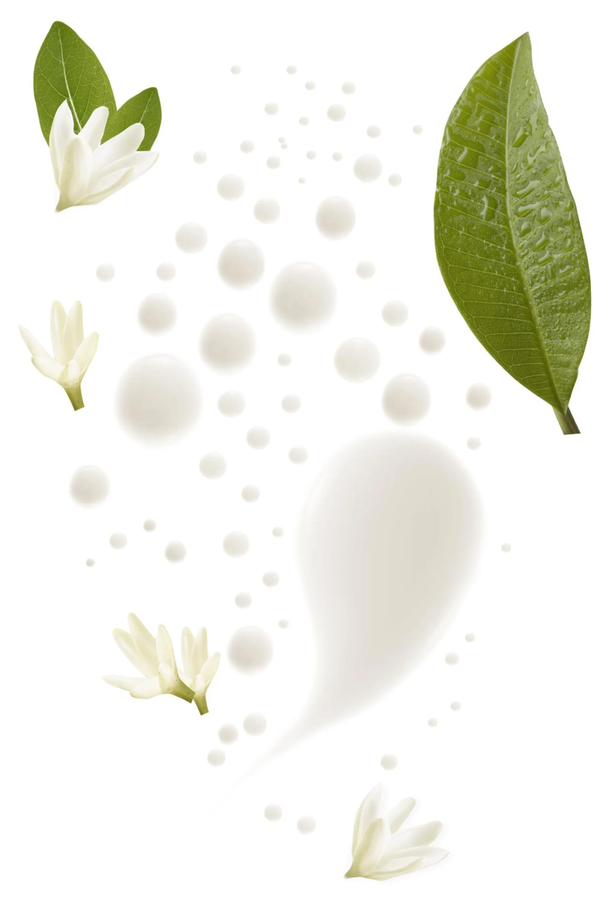 Klorane Spray solaire SPF50 au Tamanu bio et au Monoï-200 ml