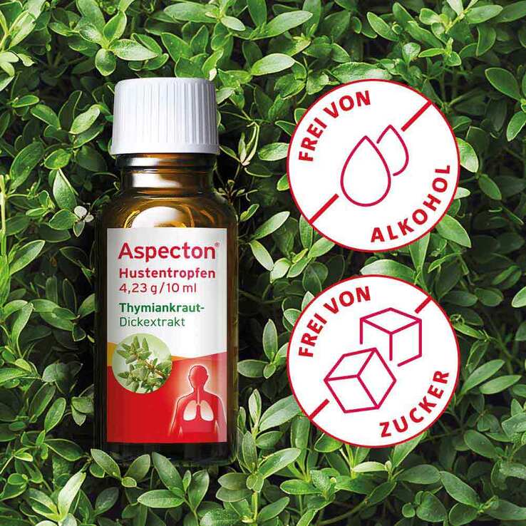 Aspecton® Hustentropfen, 100 ml
