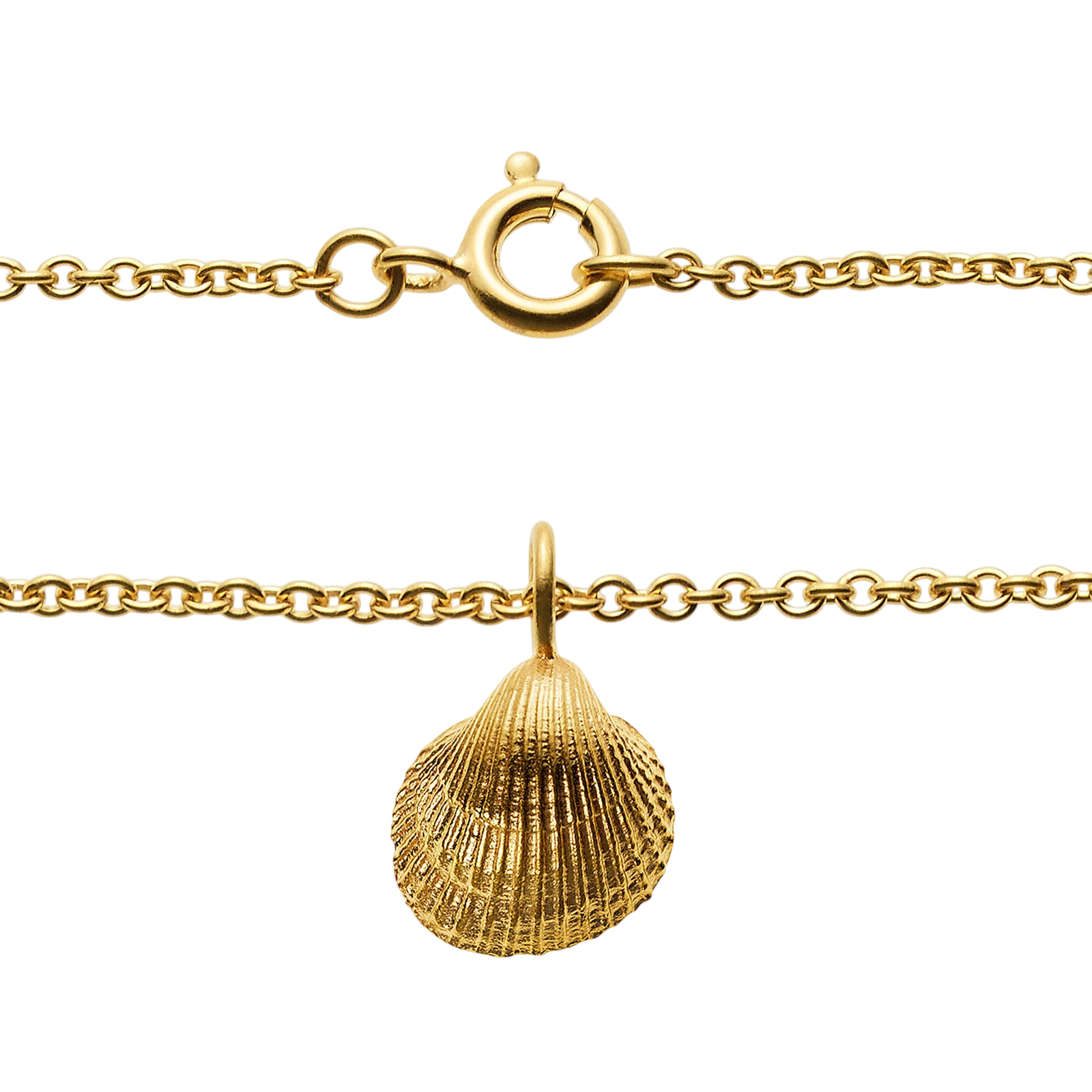 Collier 50cm vergoldet mit Muschel Anhänger