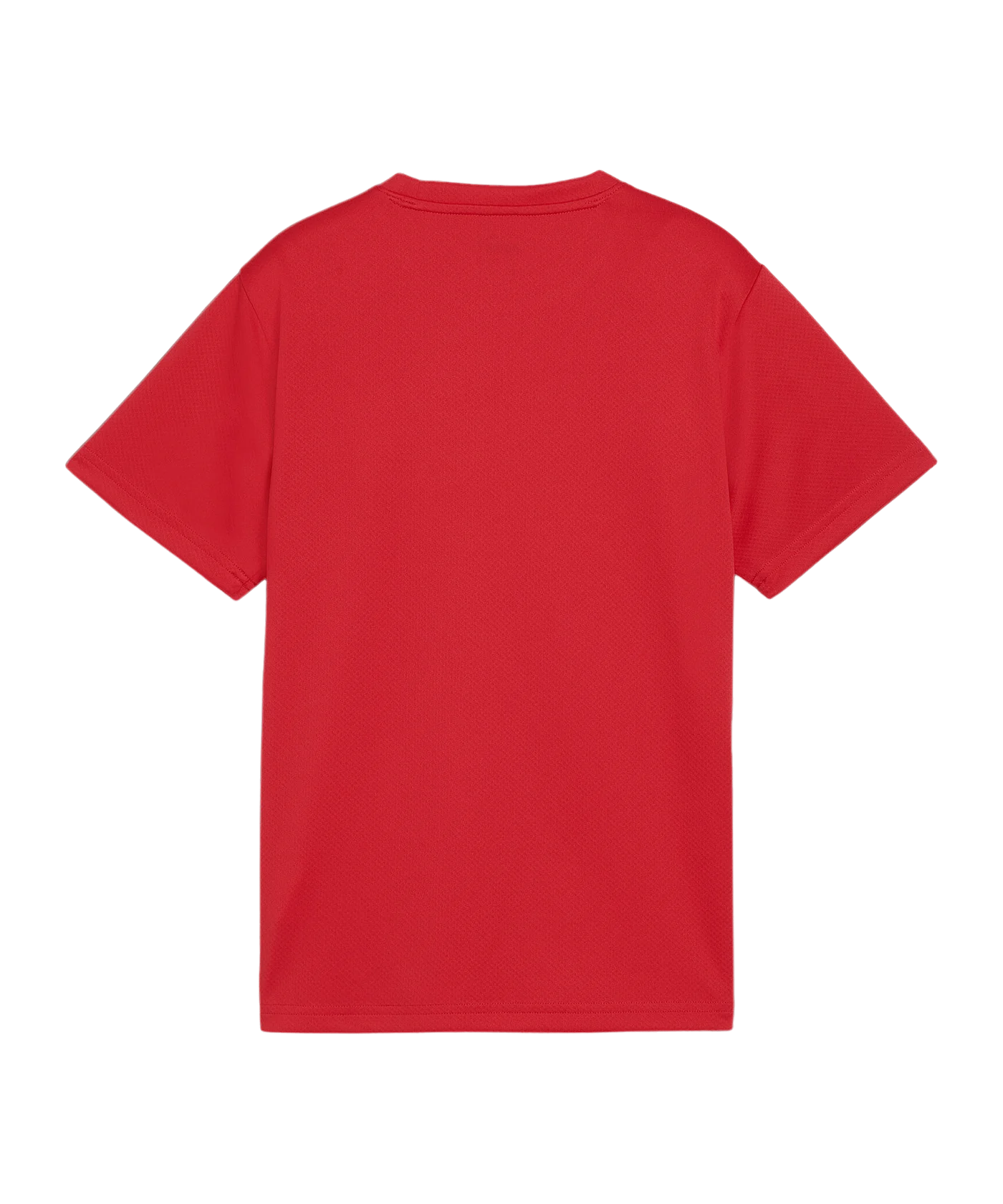 PUMA teamGOAL Trikot Kids Rot F01