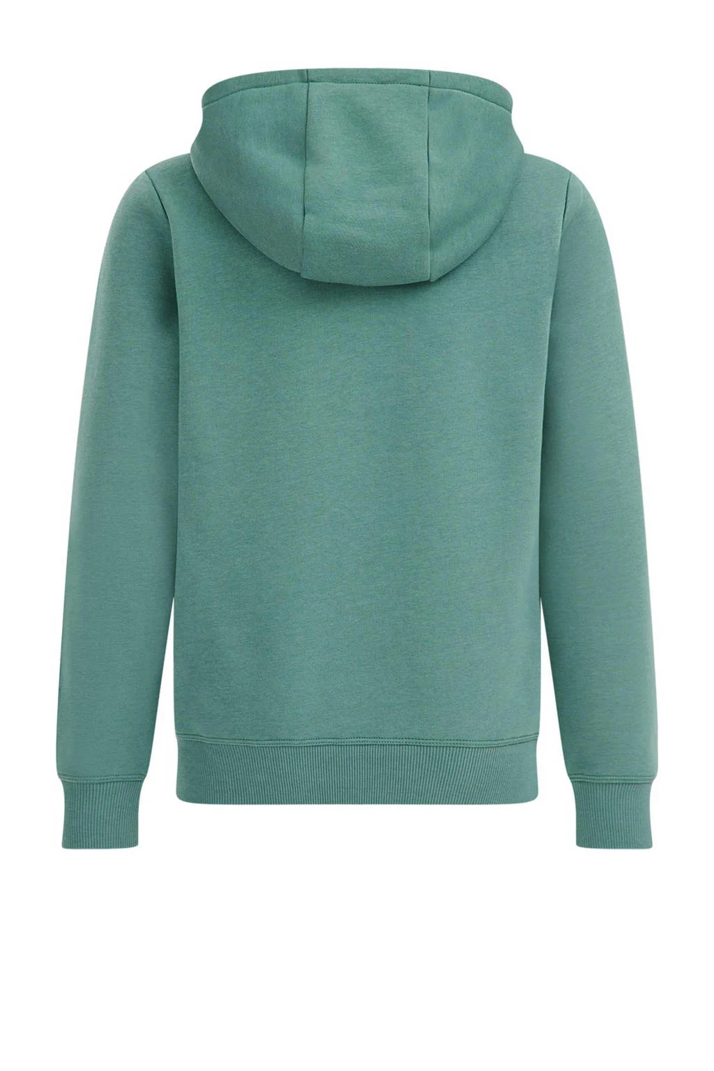 WE Fashion hoodie topaz