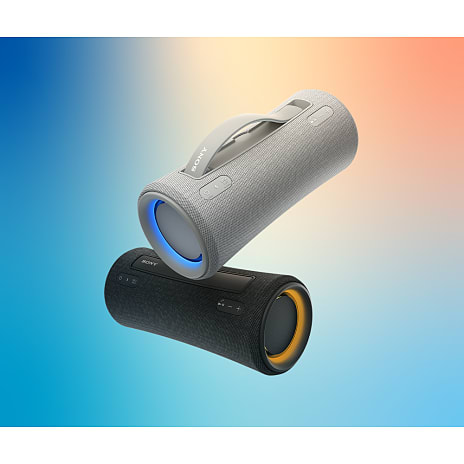 Sony Bluetooth højttaler SRS-XG300H - Silver