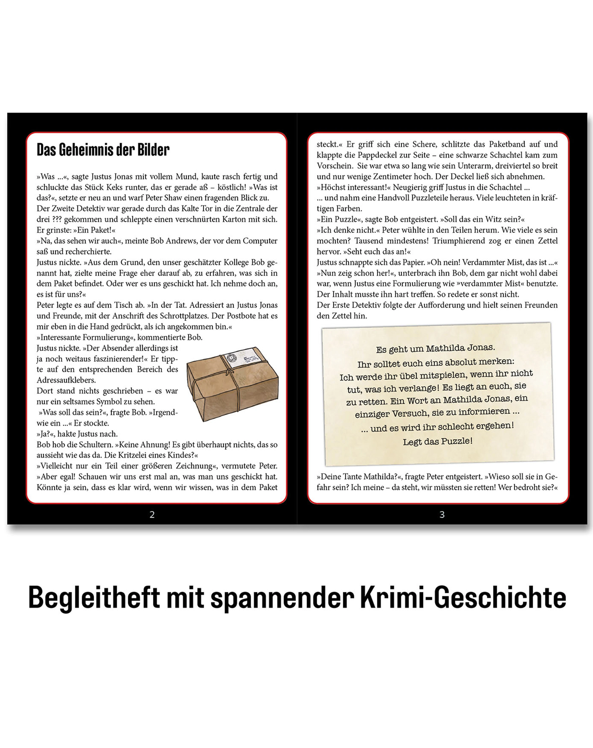 Krimipuzzle DIE DREI ??? - DAS GEHEIMNIS DER BILDER 1.000-teilig