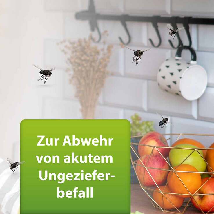 Ardap Repell Ungezieferspray, 750 ml
