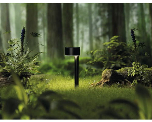 LED Solar Padverlichting Set 60 lm Baseline RVS zwart H 240 mm 2 stuks
