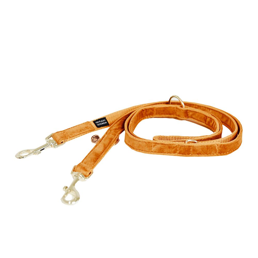 Kentucky VELVET - Laisse pour chien orange