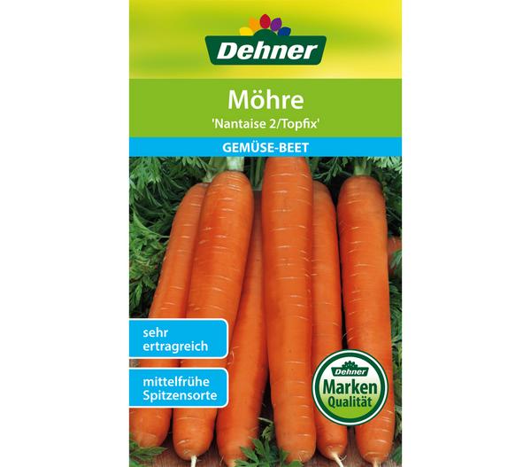 Dehner Samen Möhre 'Nantaise 2/Topfix'