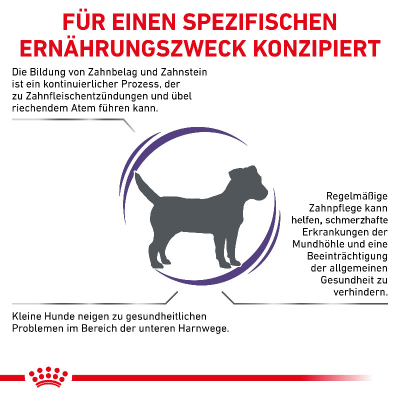 Royal Canin VET Hund Small Dental 3.5kg