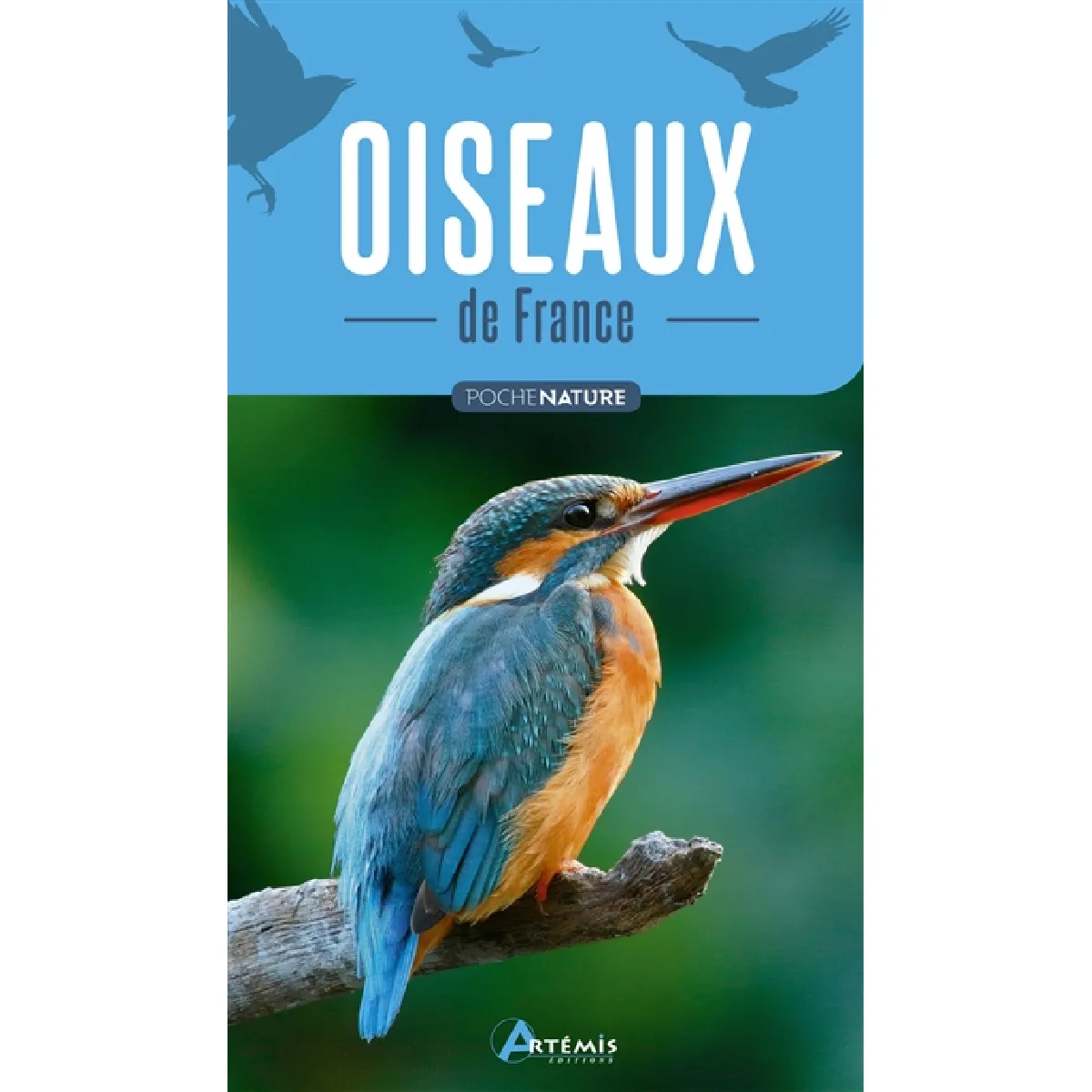 Oiseaux de France · Occasion