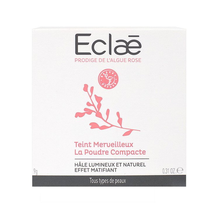 Teint merveilleux la poudre compacte 9g