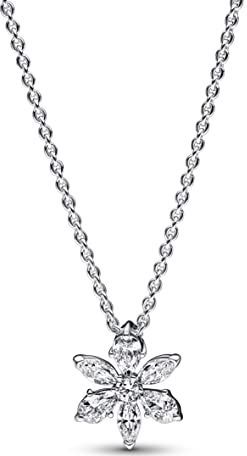 PANDORA - Timeless - Halsketting - 45 cm - Sterling Zilver - Funkelnde Herbarium Cluster