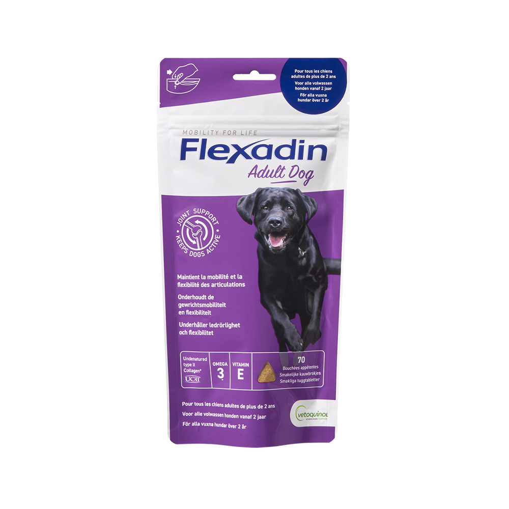Flexadin Adult Dog