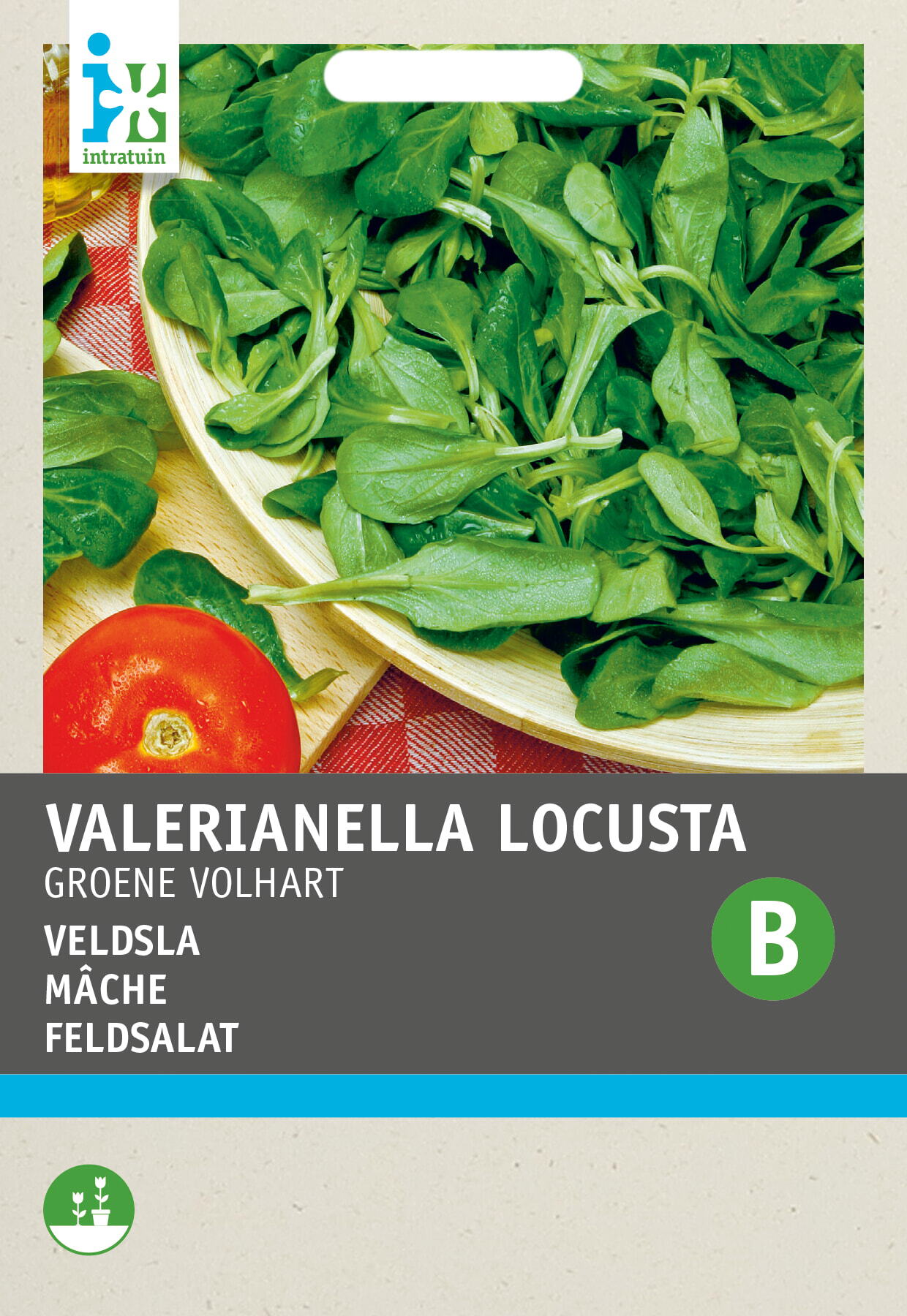 Intratuin groentezaad Veldsla (Valerianella olitoiria 'Groene Volhart')