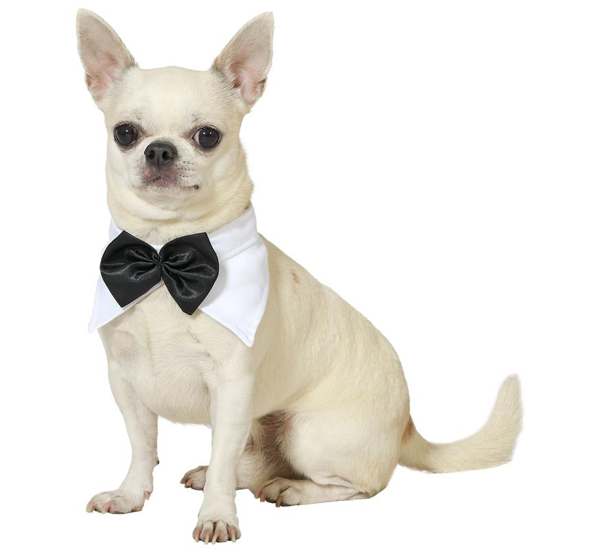 Fantasia de cachorro Atosa com gravata borboleta e coleira.