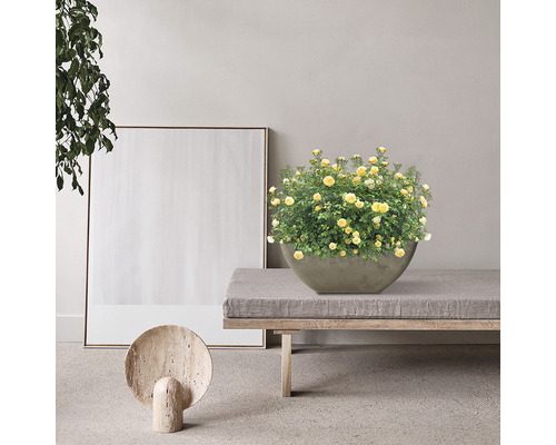 Lafiora kunststenen plantenbak 30 x 30 x 15 cm taupe