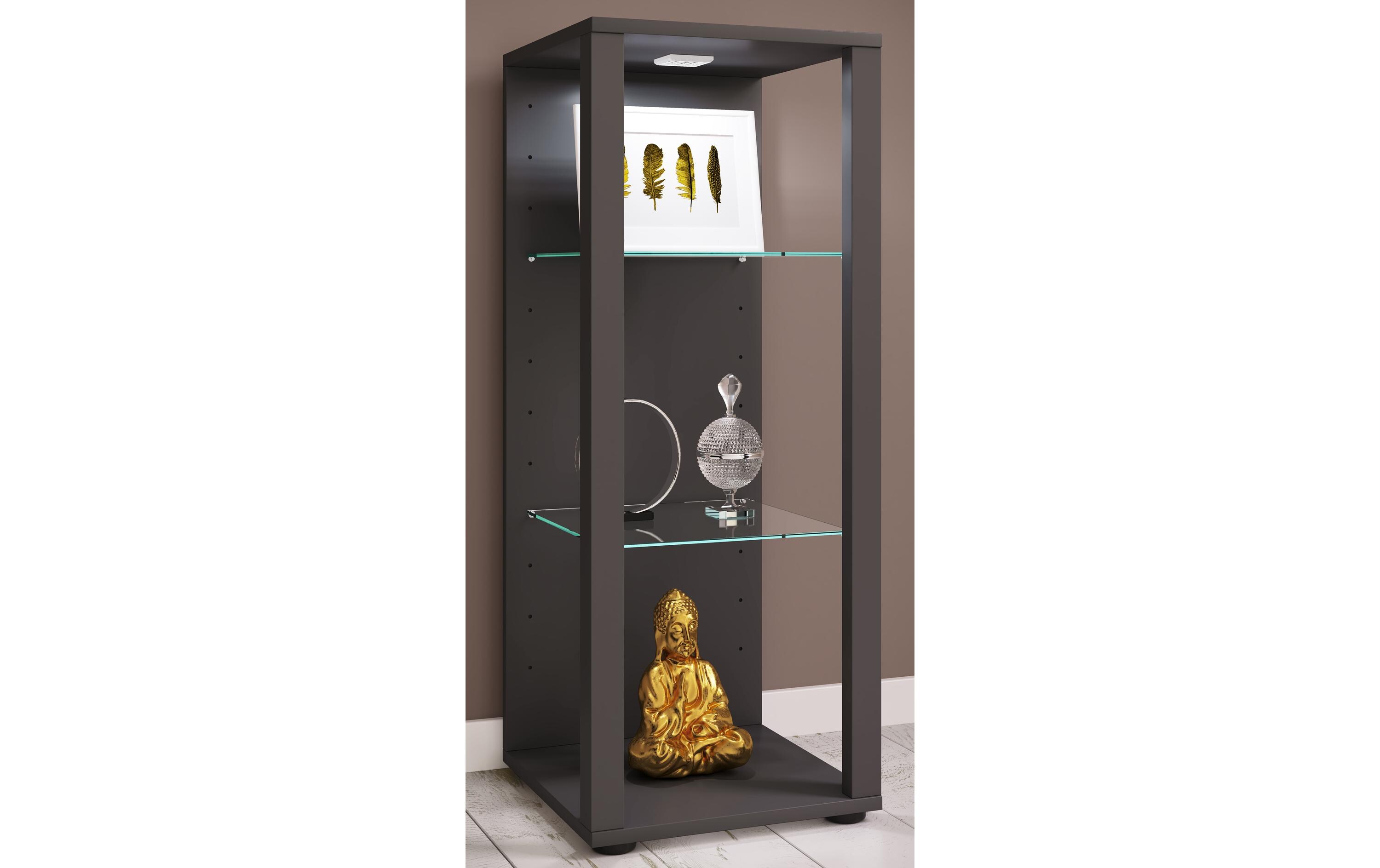 Vitrine Glasol M 35 x 90 cm, AnthrazitStandvitrine