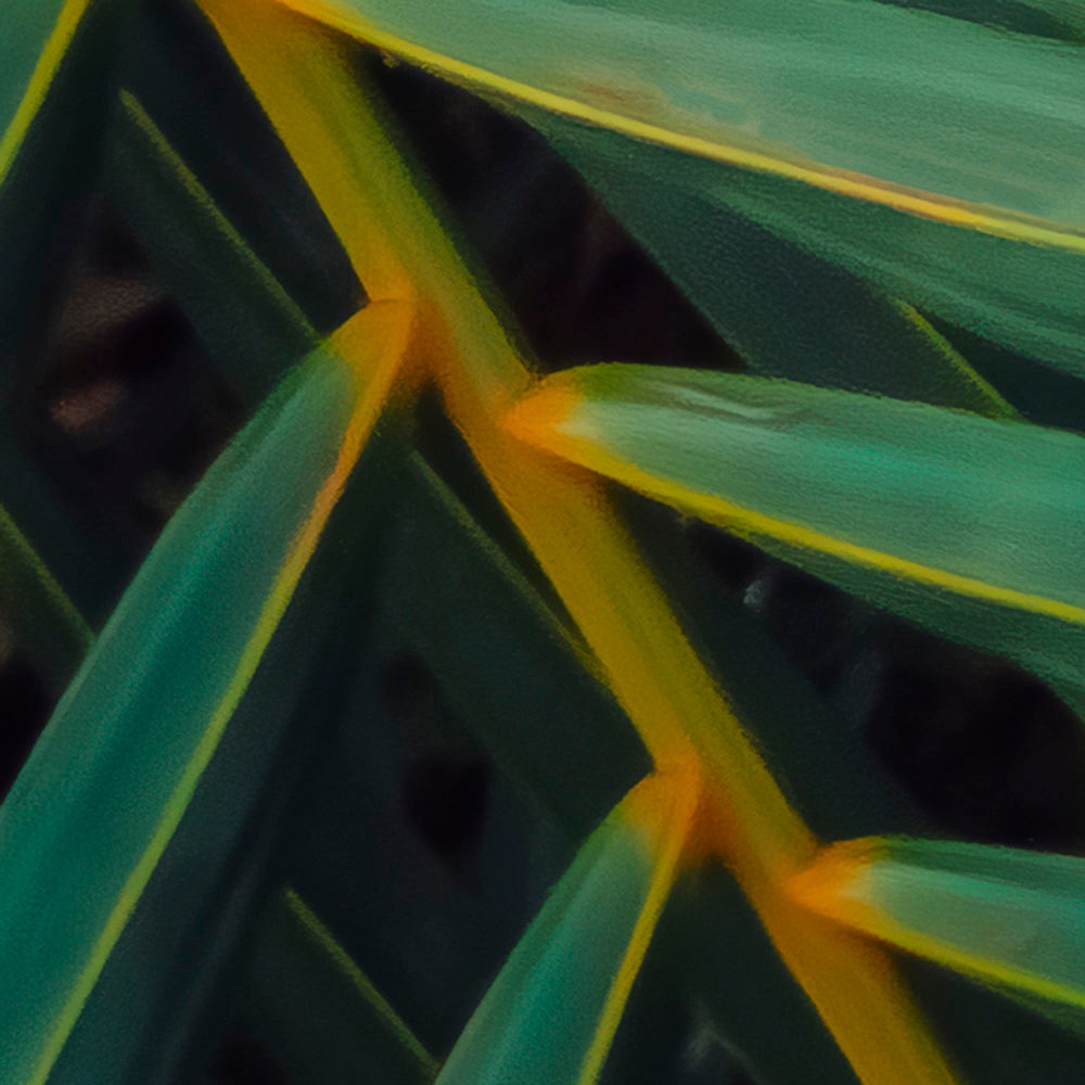 Komar Fototapete »Digitaldruck Vlies -  Amazon Fern - Grösse 400 x 250 cm« bedruckt glatt Wohnzimmer, Schlafzimmer