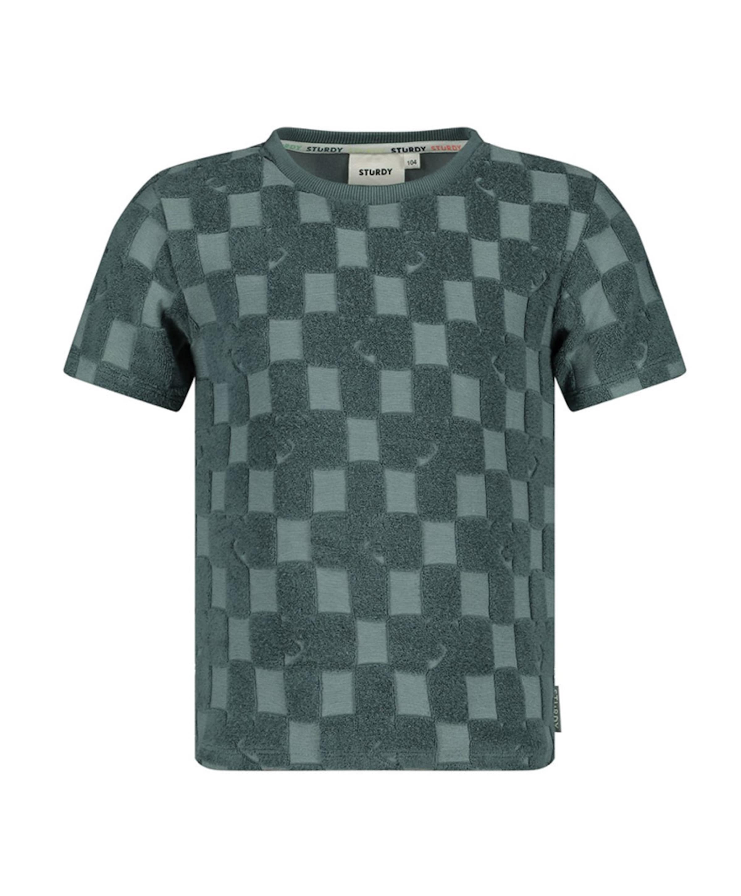 Sturdy Jongens T-shirt blauw