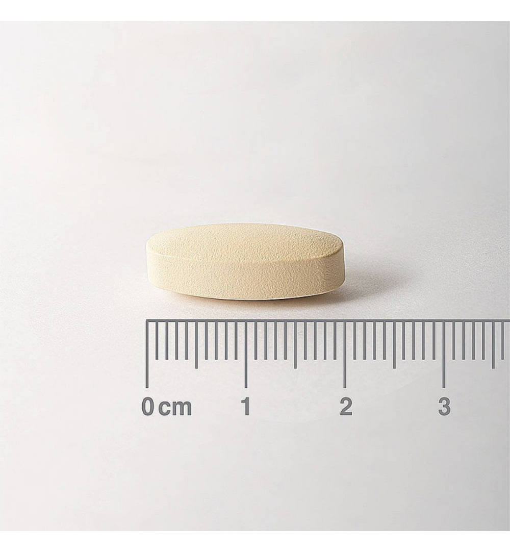 Lamberts Vitamine C 500mg rutine & bioflavonoiden (90 tabletten)