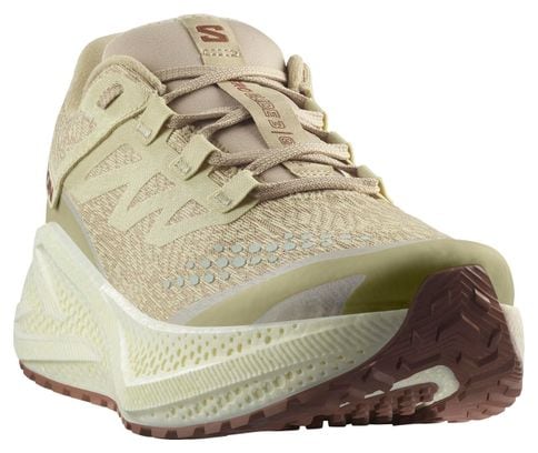 Chaussures Running Salomon Aero Glide 3 GRVL Beige Homme