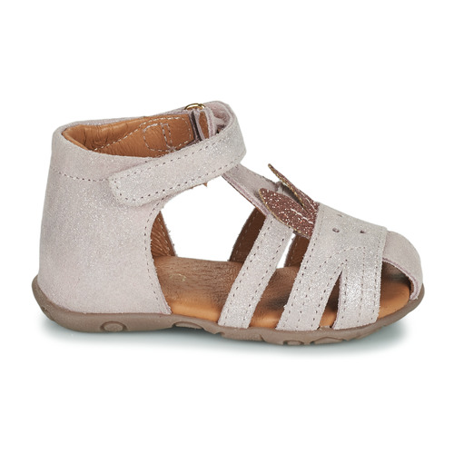 GBB - FADIA - Rose