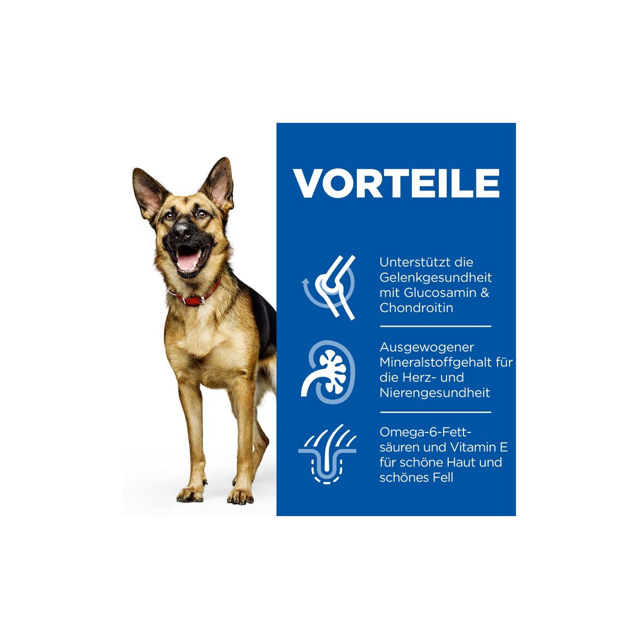 Hill's Canine Science Plan Active Longevity Mature Adult 6+ Senior Large Breed 18 kg