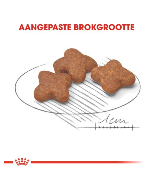 Royal Canin Mini Adult 8+ - Hondenvoer