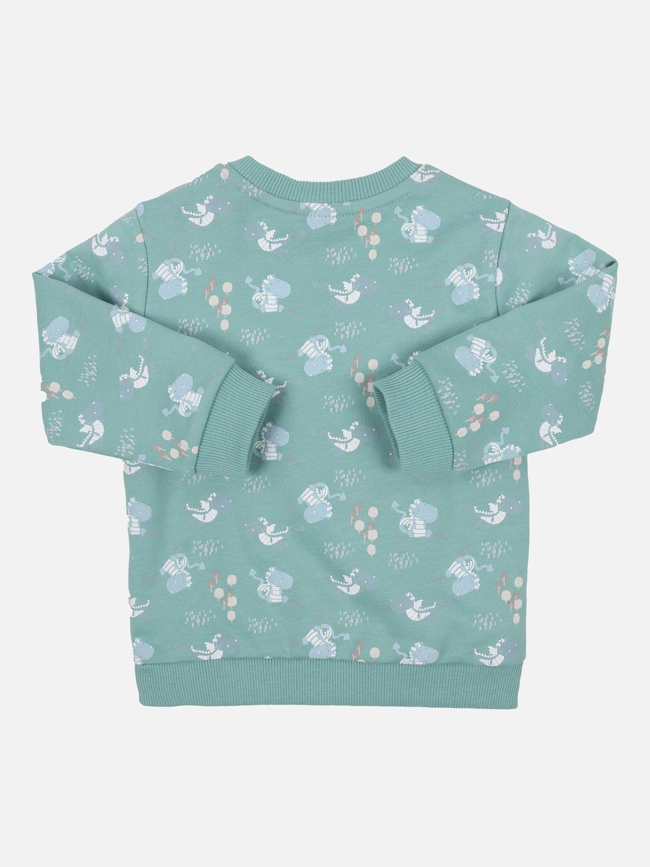 Baby Sweater mit Drachenprint