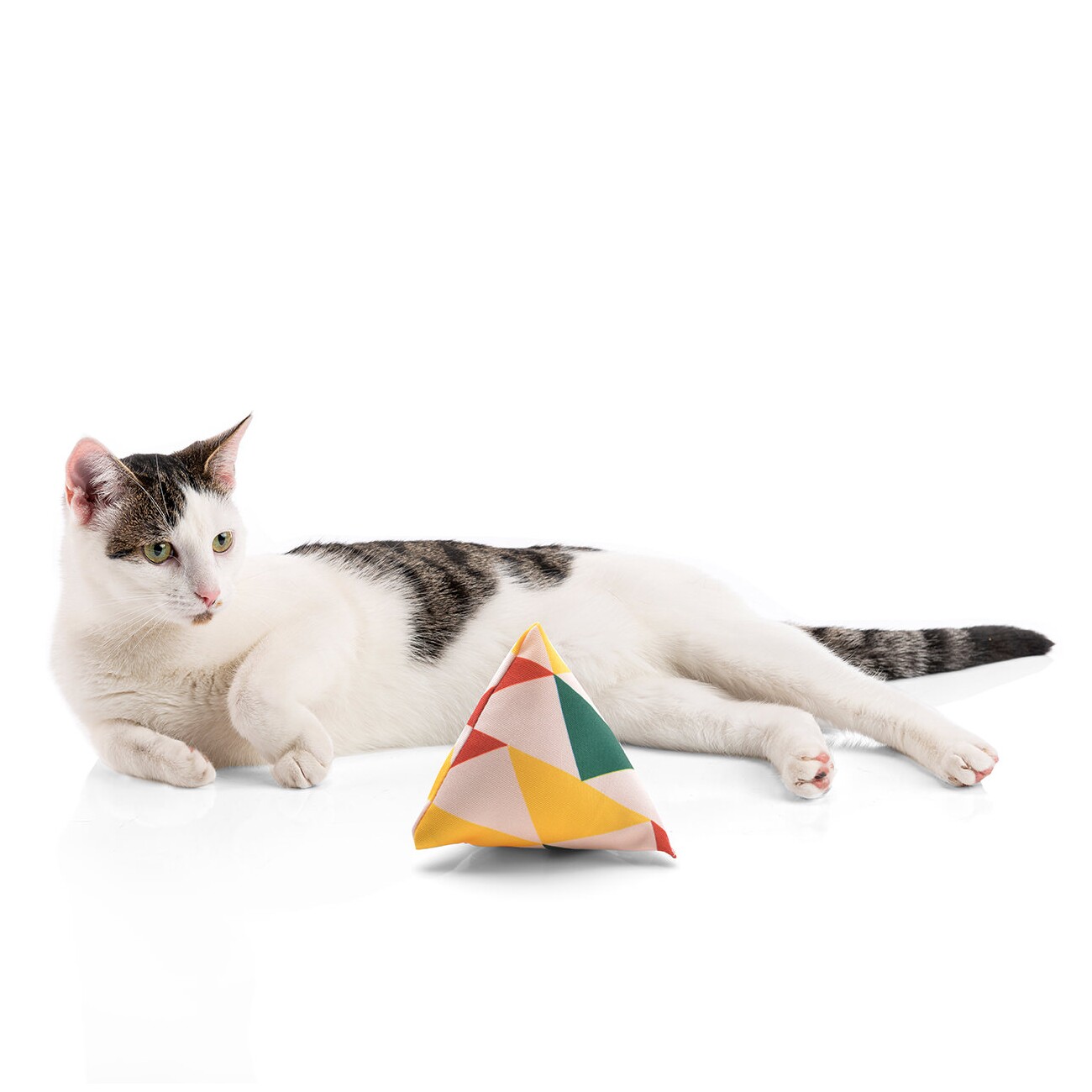 Canadian Cat Company Catnipspielzeug 6x Schmusepyramide Reggae Triangle
