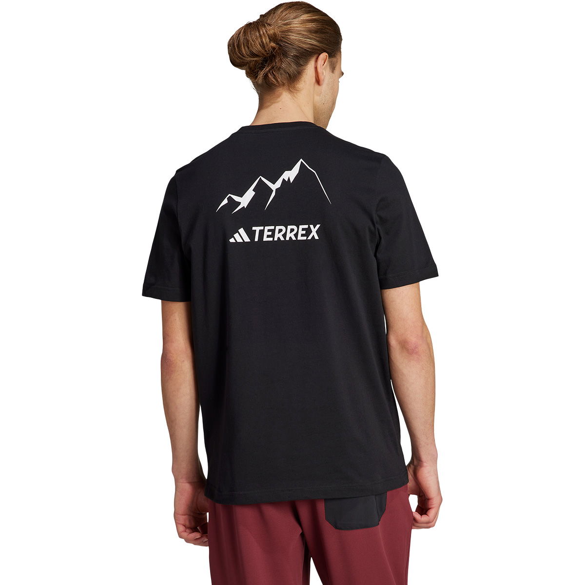 adidas Terrex Graphic Mountain 2.0 T-shirt Herre