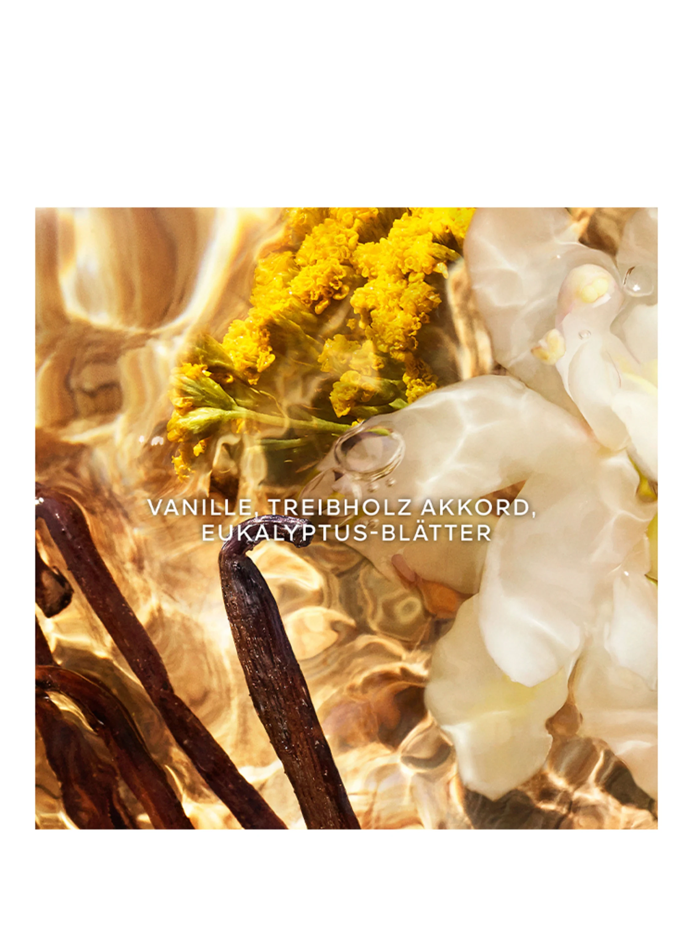 GUERLAIN AQUA ALLEGORIA FORTE BOSCA VANILLA REFILL