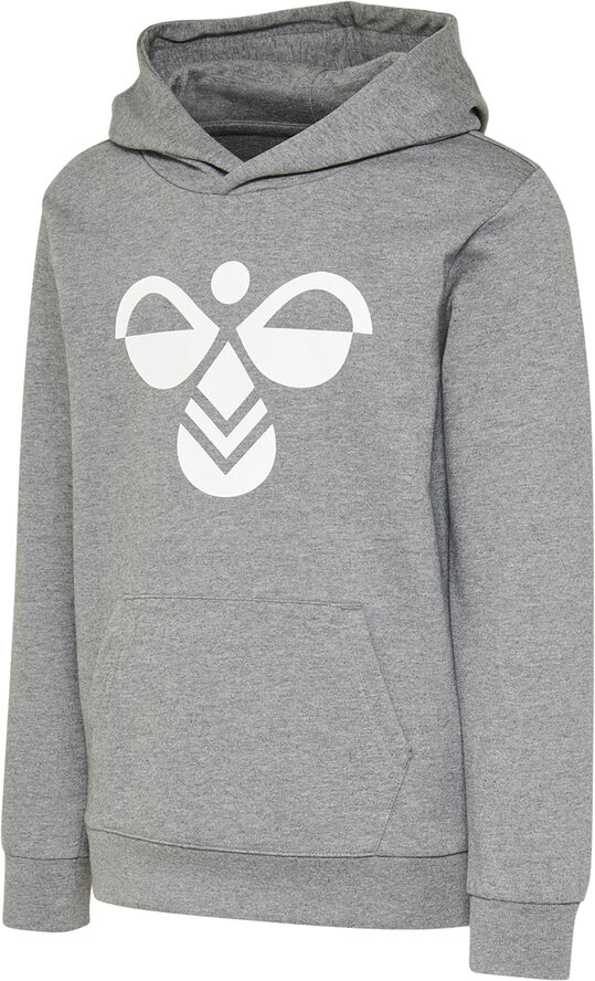 Hummel hmlCUATRO HOODIE Grå