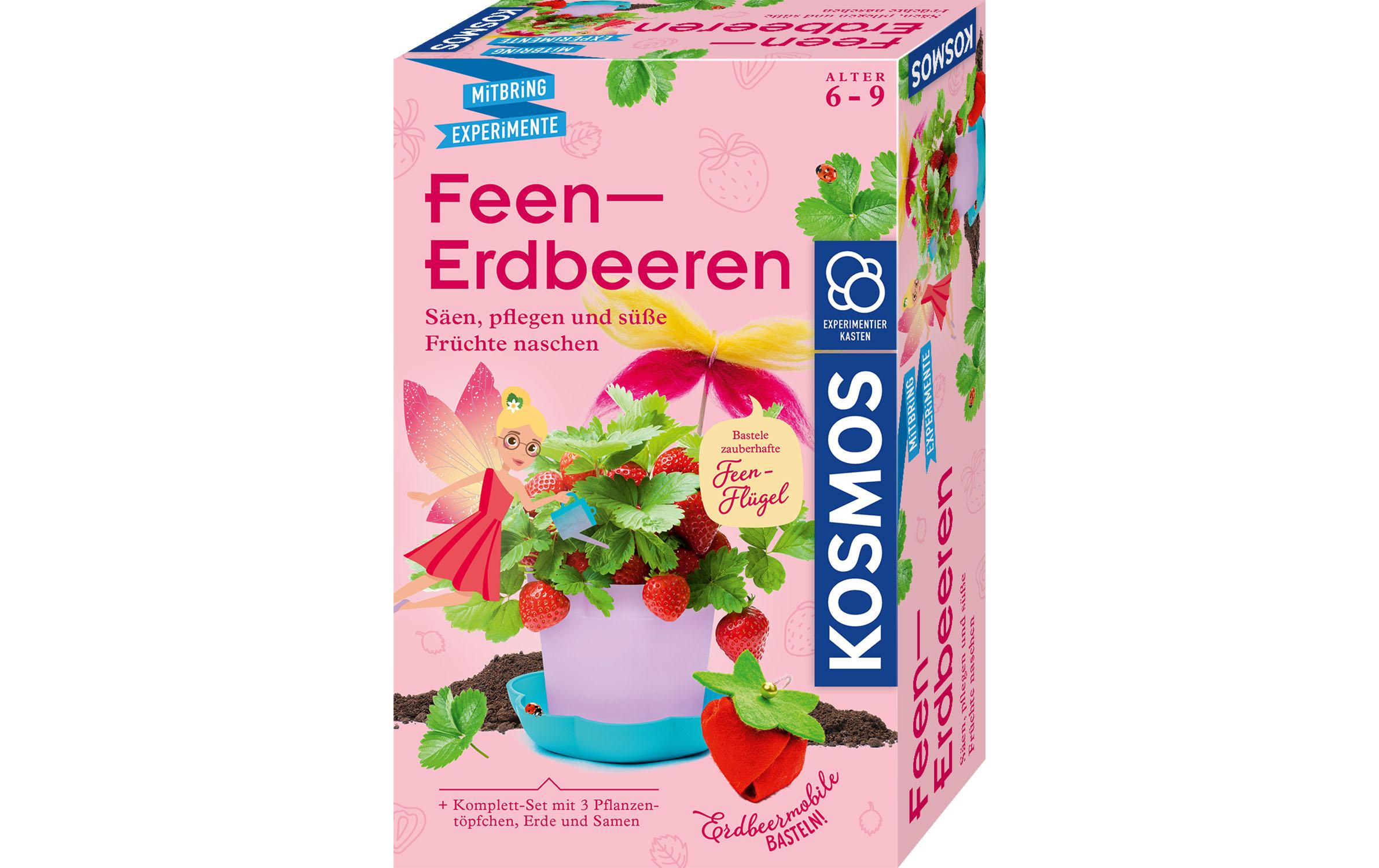 Experimentierkasten Feen-ErdbeerenSäen, pflegen und süsse Früchte naschen