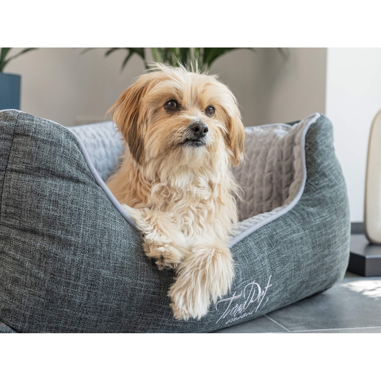 TrendPet VitaBed Classic orthopädisches Hundebett grau S