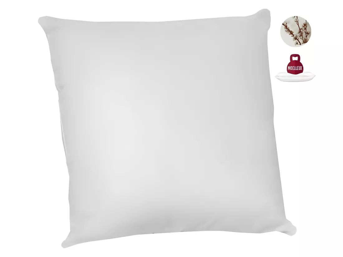 Lot de 2 oreillers anti-acariens - 60 x 60 cm - 100% coton Bio - ABEIL