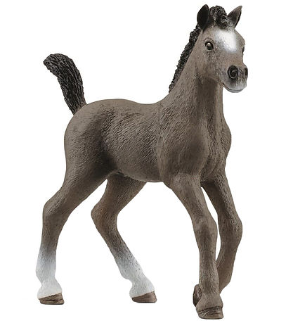 Schleich Horse Club - Hengstfohlen von Selle Français - H: 8 cm