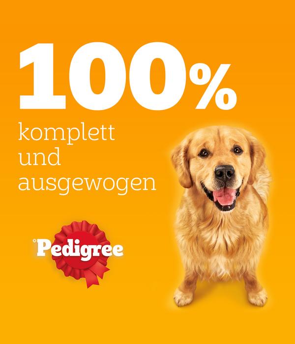 Pedigree® Nassfutter für Hunde Adult mit 3