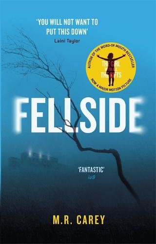 Fellside (Paperback)