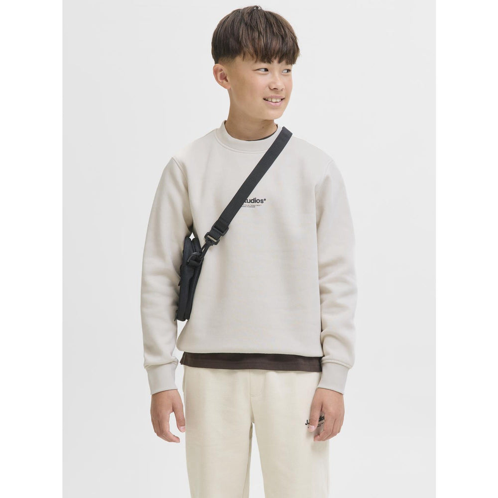 Køb Jack & Jones Junior Moonbeam Jjesoho Sweat Crew Neck Sn Jnr