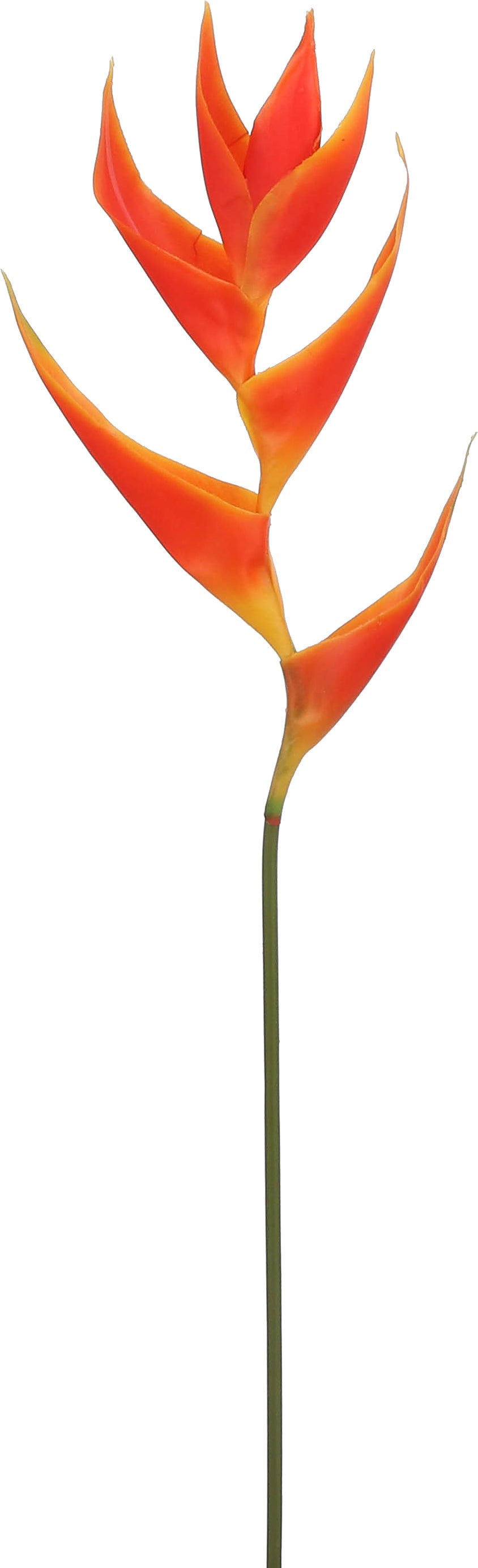 Mica Decorations kunstbloem Heliconia oranje 70 cm