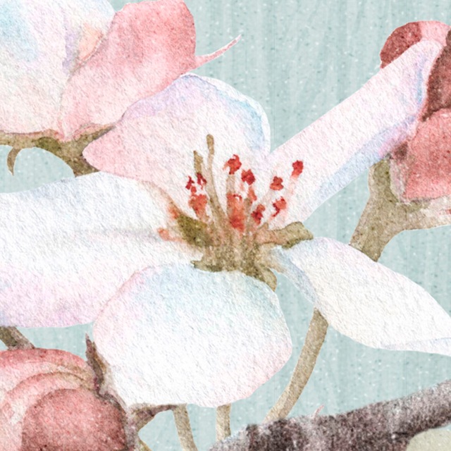 Komar Fototapete »Digitaldruck Vlies -  Apple Blossom - Grösse 300 x 250 cm« bedruckt glatt Wohnzimmer, Schlafzimmer