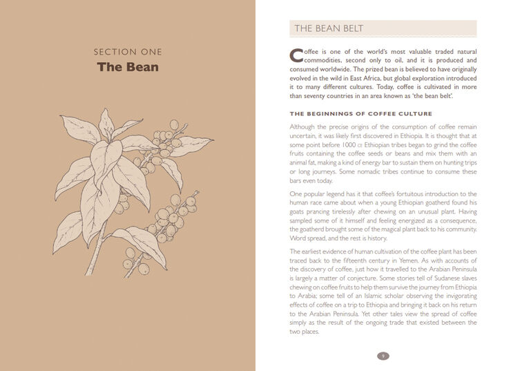 New Mags How to make Coffee