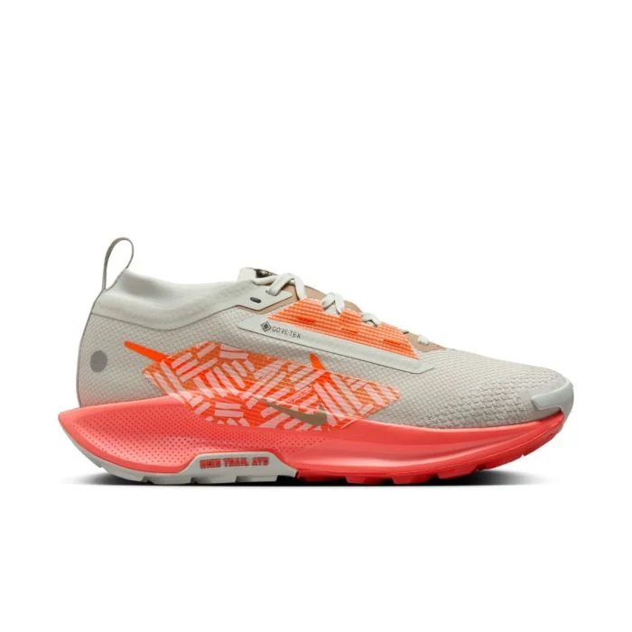 Nike Dame Trailsko Pegasus Trail 5 Gore-Tex Sølv