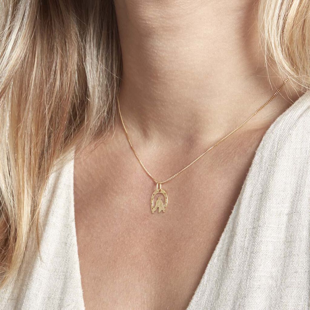 Pendentif Egide Fer A Cheval Or Jaune
