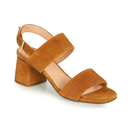 Fericelli - MARRAK - Camel