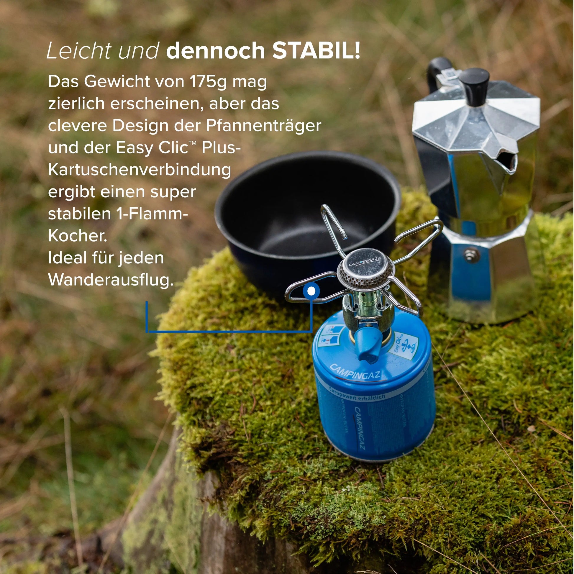 Bleuet Micro Plus